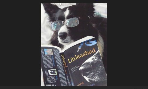Listen Up! Better to have loved and lost …: A guest post by Sally Barnes | Commentary