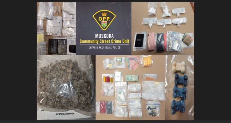 Drug-bust.jpg