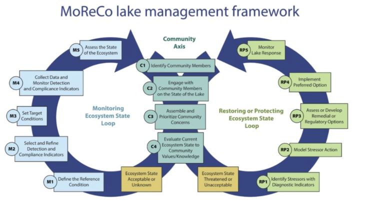 Lake-ecosystem.jpg