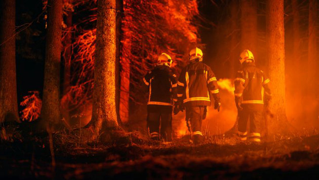 Smith announces additional incentives for wildland firefighting efforts