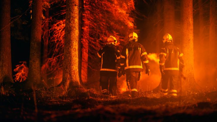 Wildland-firefighting.jpg