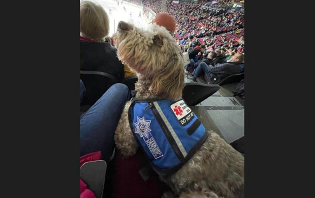 Fire department looking to add a furry crew member to its complement