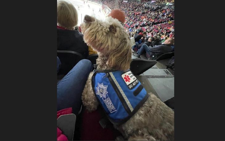 canine.jpg