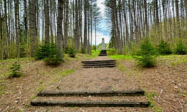 Overwinter conditions at Dyer Memorial spark social media debate
