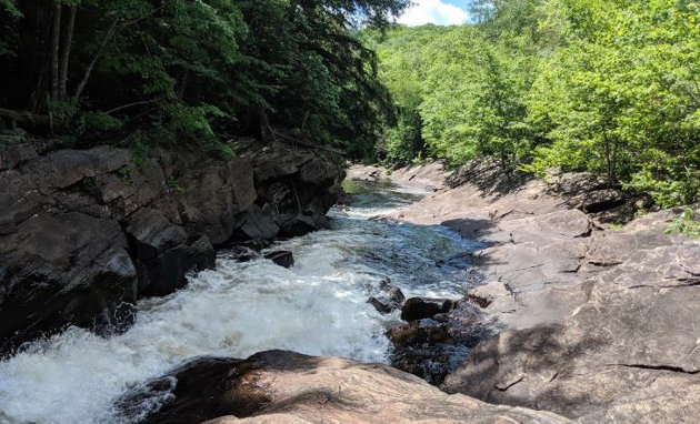 Township of Lake of Bays launches environmental grants program