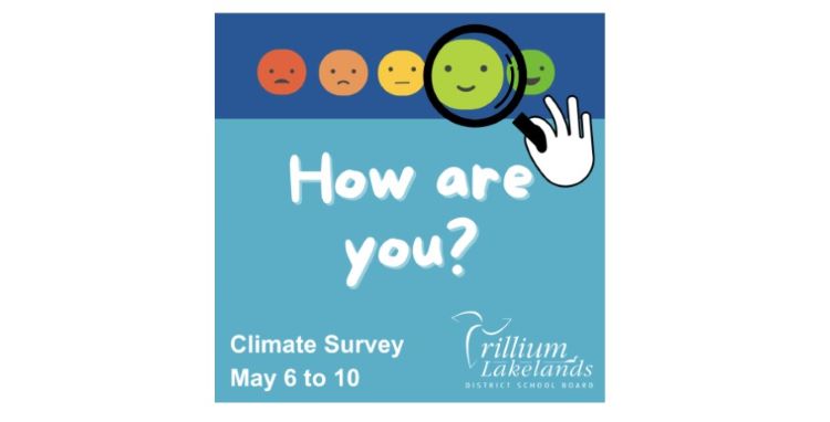 survey-ED.jpg