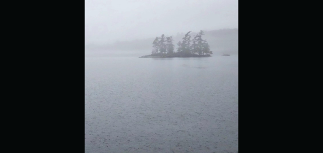Weekend weather report