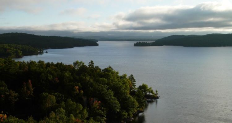 shoreline-in-Lake-of-Bays.jpg