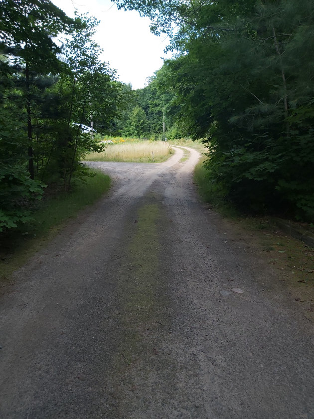 Next steps for Roads License Agreement Program following public meeting