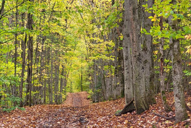 Early predictions point to a warmer fall and a whirlwind of snow and rain this winter