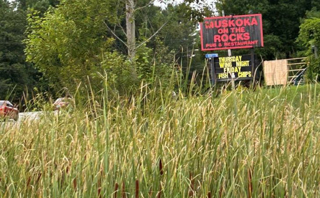 Lake of Bays Council votes against another billboard sign on Hwy 60