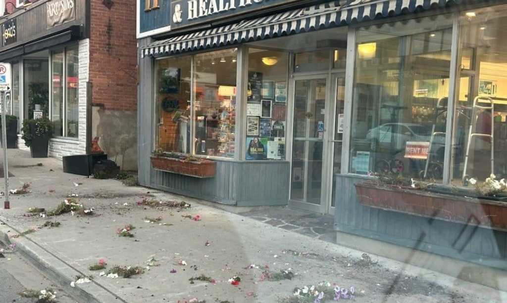 vandalism.jpg