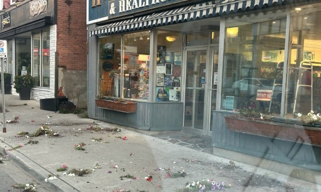 Huntsville OPP seeking the public’s assistance identifying vandals