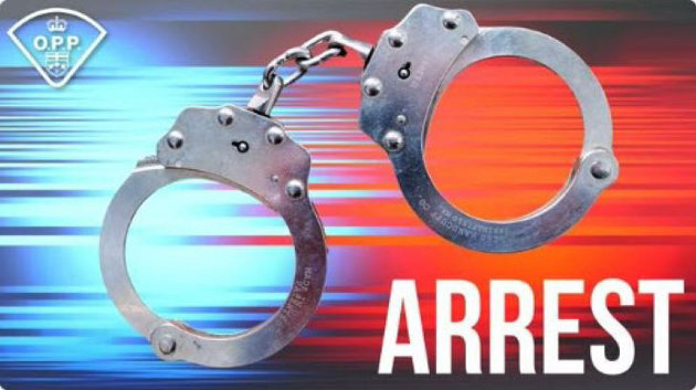 Weapons call results in numerous charges against Burk’s Falls resident