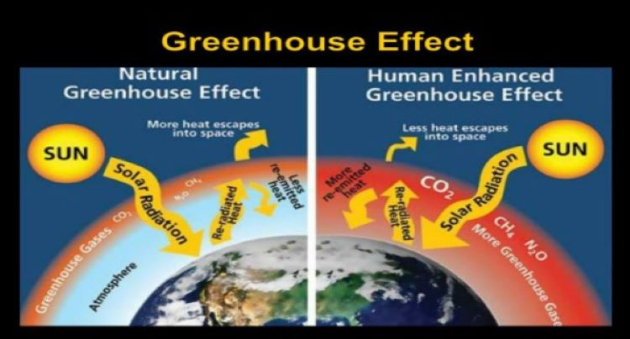 Life in the biggest greenhouse: Hugh Holland  | Commentary 
