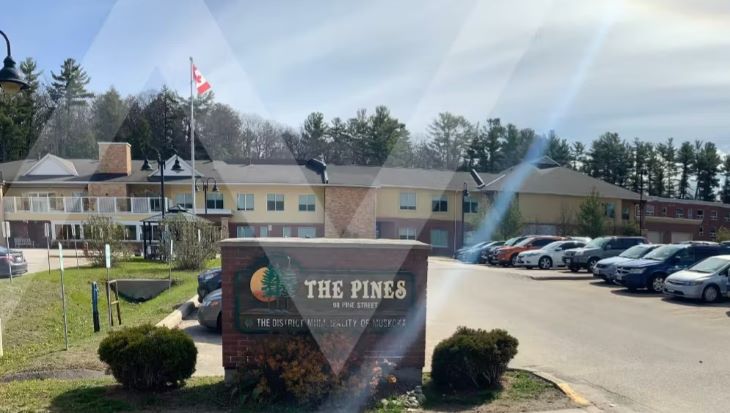 The-Pines.jpg