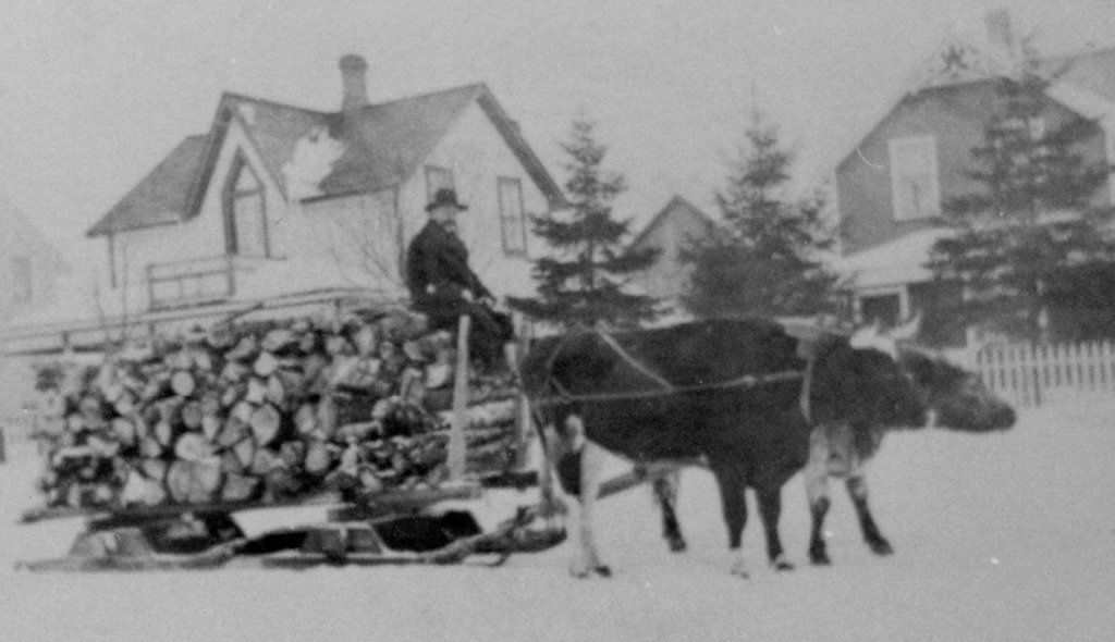 29h6Q9yp-oxen.jpg