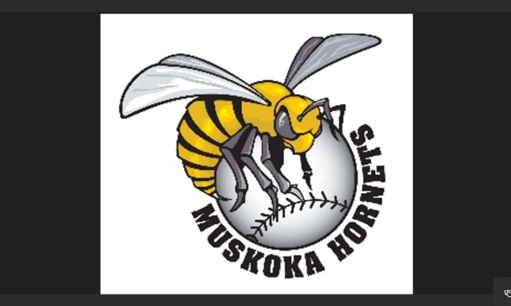 Muskoka-Hornets.png