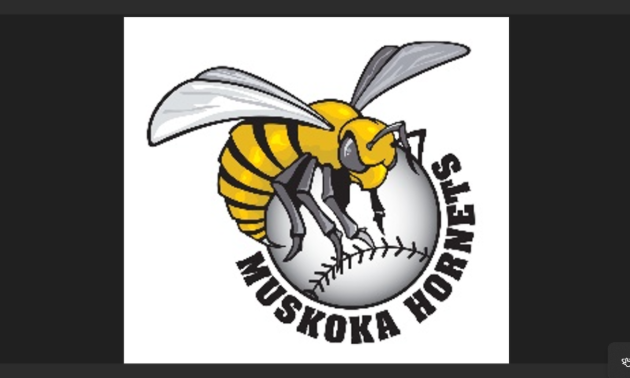 Muskoka Hornets hold AGM, announce sold out summer tournaments