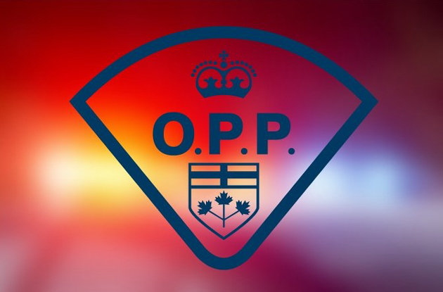 Bracebridge OPP lay drug-impaired driving charge