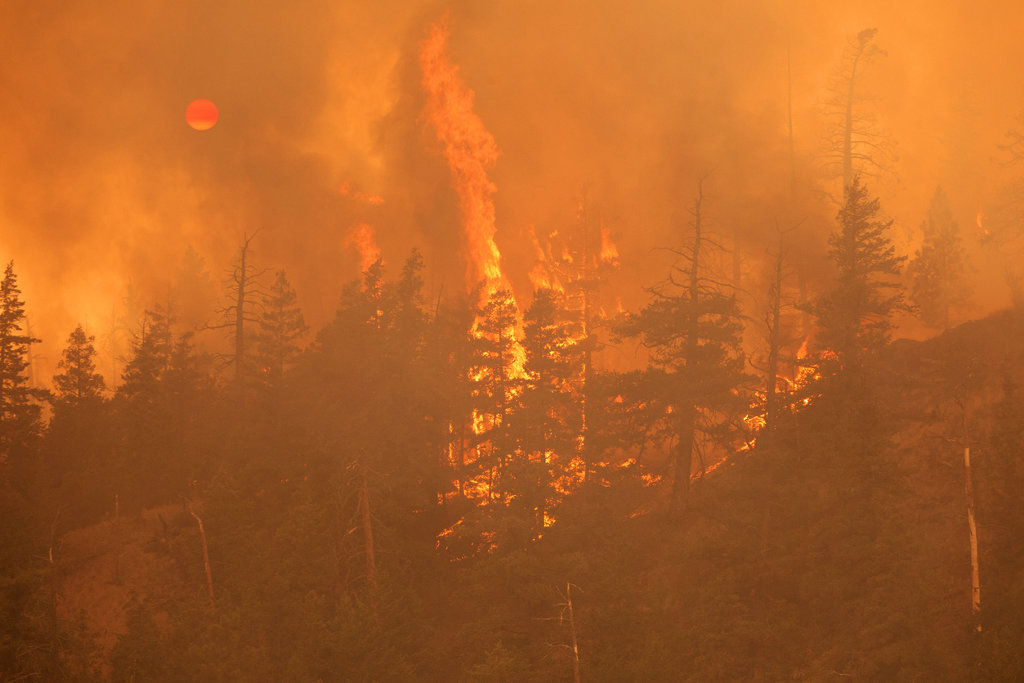 forest-fire.jpg