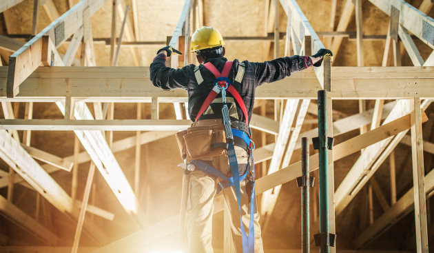 New federal and provincial laws coming into effect in 2025