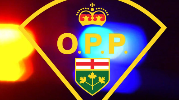 OPP and other first responders respond to snow event