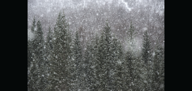 Environment Canada issues snow squall warning