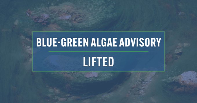 Blue-green-algae.jpg
