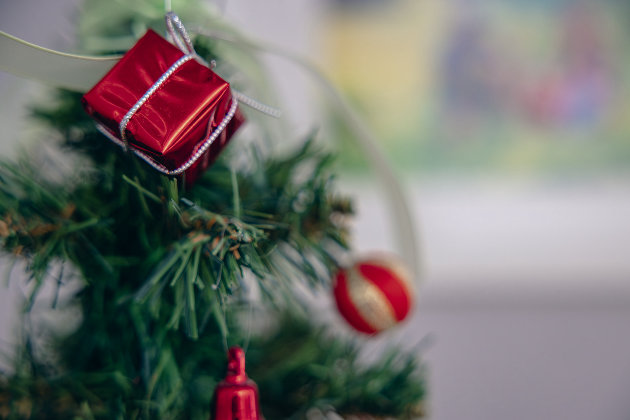 How do dispose of your Christmas tree