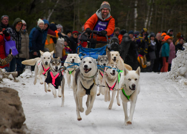 The 31st annual Kearney Dog Sled Races return on February 8 and 9