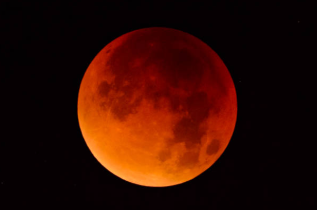 If you happen to be up in the early hours of Friday morning—look up!