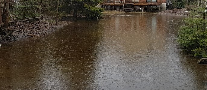 flood.jpg