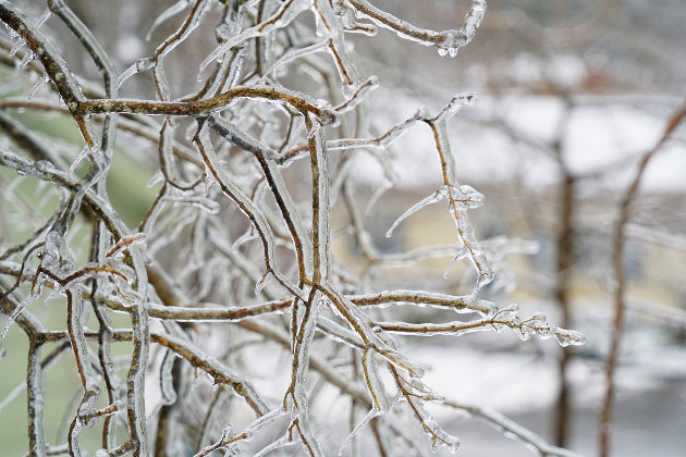 Town preparing for another storm as more winter weather heads to Huntsville