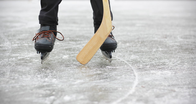 Hockey fights hunger in Huntsville – Come watch, cheer and donate!