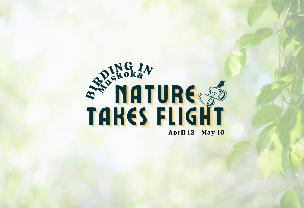 latvxD3T-birding-in-Muskoka.png