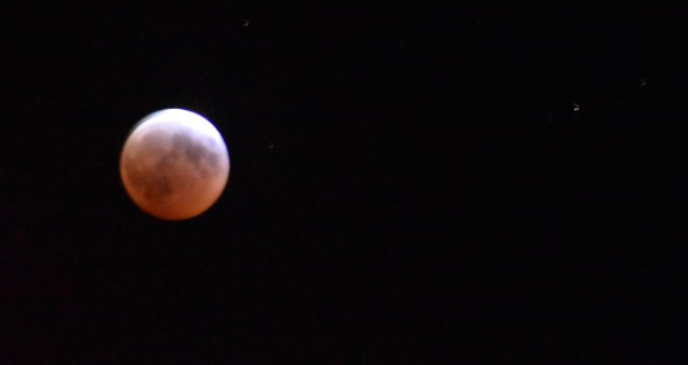 Clear skies in Muskoka during lunar eclipse