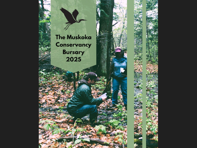 7ZOMC93F-Muskoka-Conservancy.png