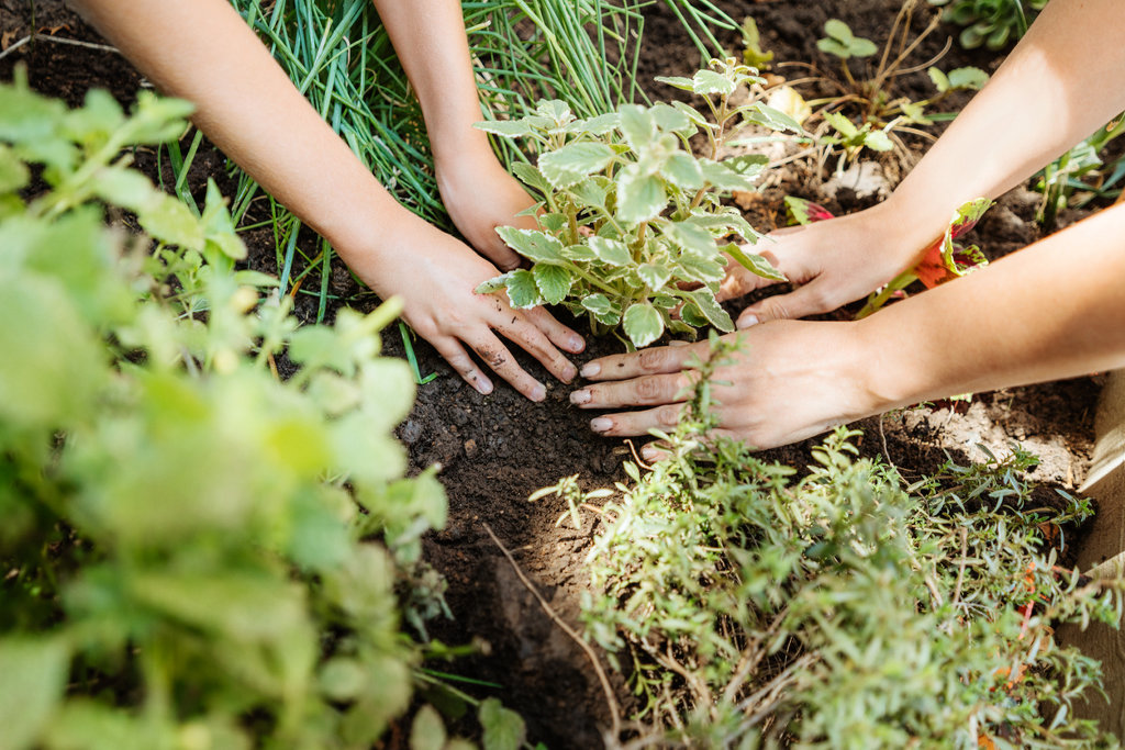 Earth-Day.jpg