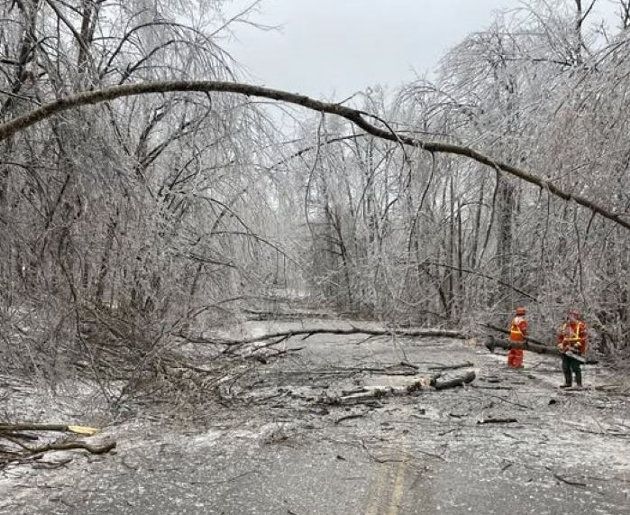 Muskoka rallies for storm recovery: Food donations and clean-up efforts underway