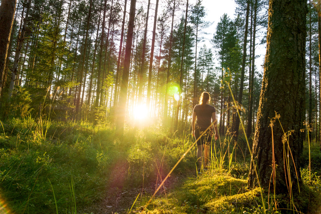 Sunet-Hike-Stock.jpg