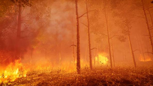 Fire department urges residents to be cautious and FireSmart as wildfire risk increases