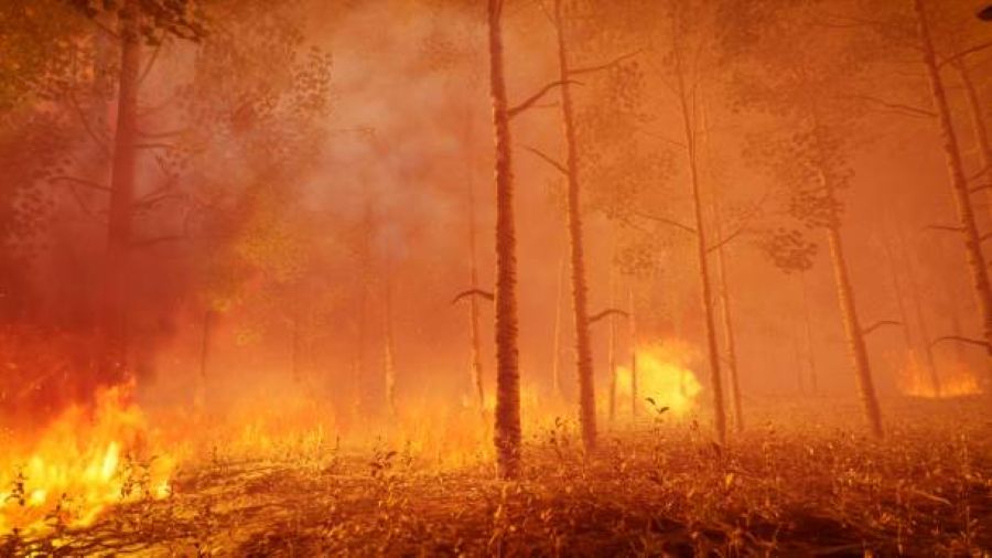 b9Su7O7x-wildfire.jpg