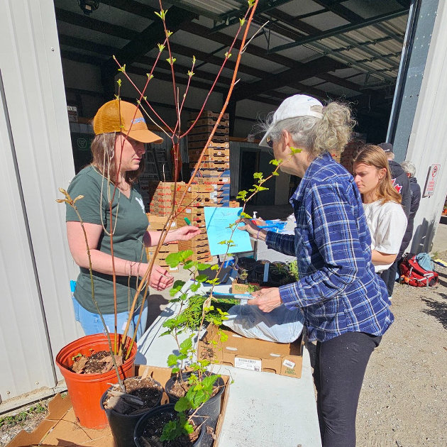 Muskoka Conservancy thanks volunteers and supporters of annual native plant sale| Letters