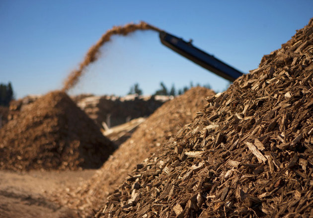 Temporary transfer station fee waiver for storm debris ending May 31