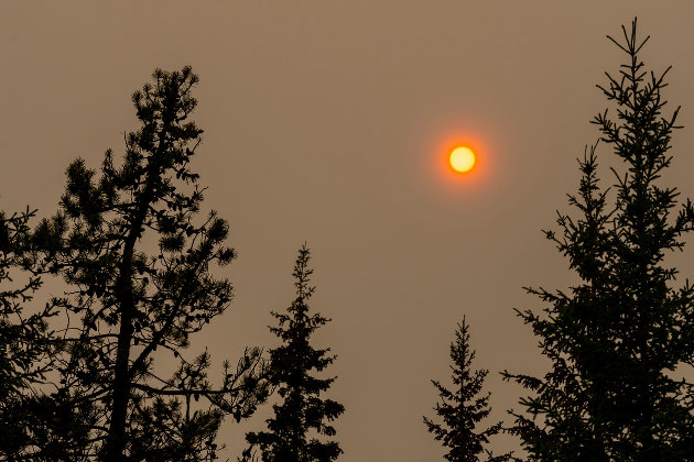 Health unit offers tips on how to keep safe during poor air quality events