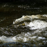 MNR has issue Watershed Conditions Statment – Water Safety bulletin for portions of Muskoka River Watershed