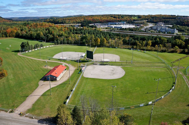 Do you support renaming a baseball diamond at McCulley in honour of George Selkirk? Vote!