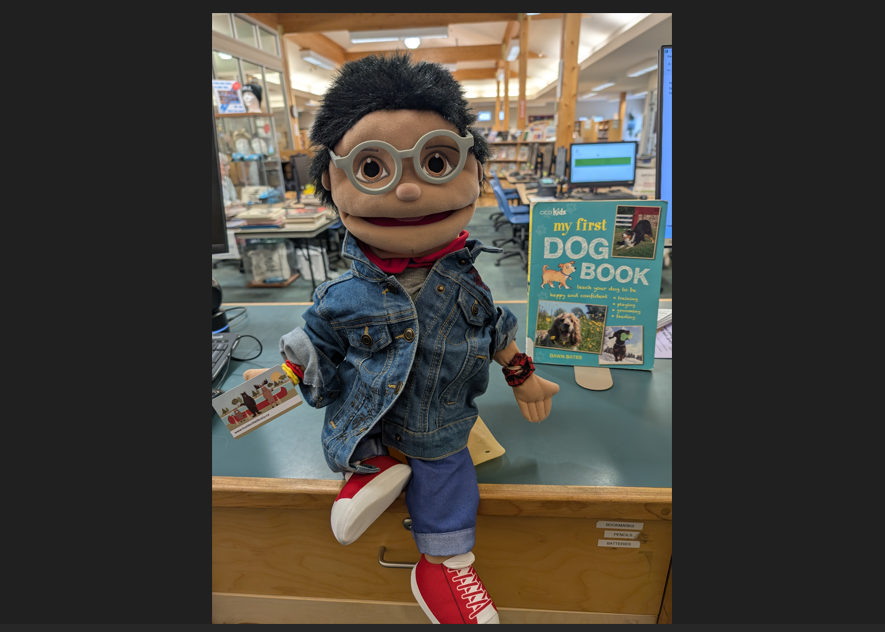 Library-Barry.png