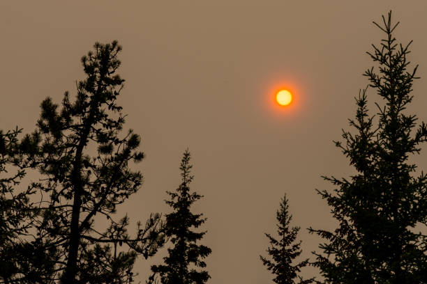 haze.jpg